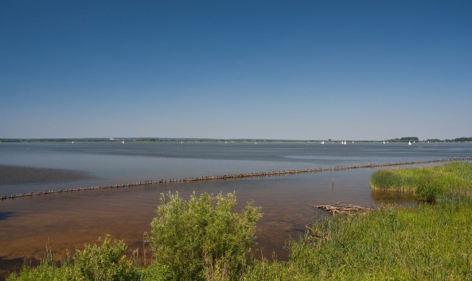 Dümmer See
