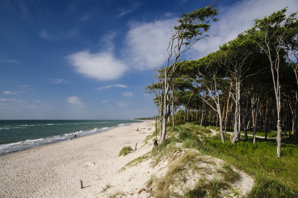Darß - Zingst