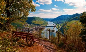 Phantastische Aussicht über die Mosel-Weinberge bei Neef