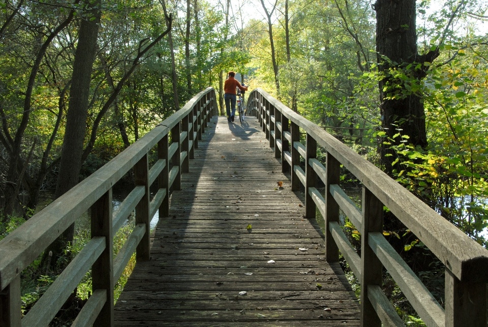 Brücke über die Ilmenau