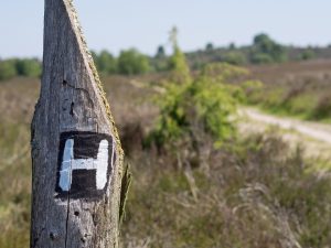Heidschnuckenweg - Wegemarkierung H
