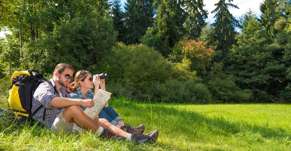 Rast auf einer Wiese
