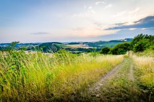 Wanderweg bei Oberhausen an der Nahe - Nahe-Hunsrück-Mosel-Radweg