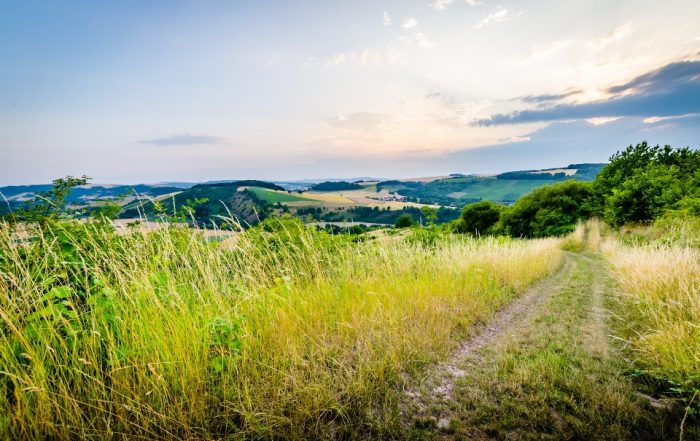 Wanderweg bei Oberhausen an der Nahe - Nahe-Hunsrück-Mosel-Radweg