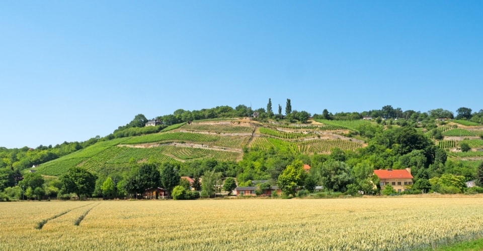 Halle | Saale | Unstrut