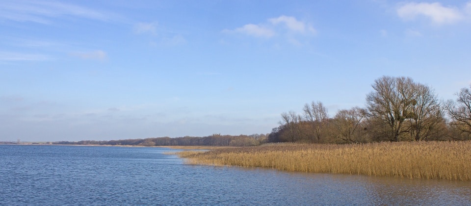 Uferzone am Kummerower See