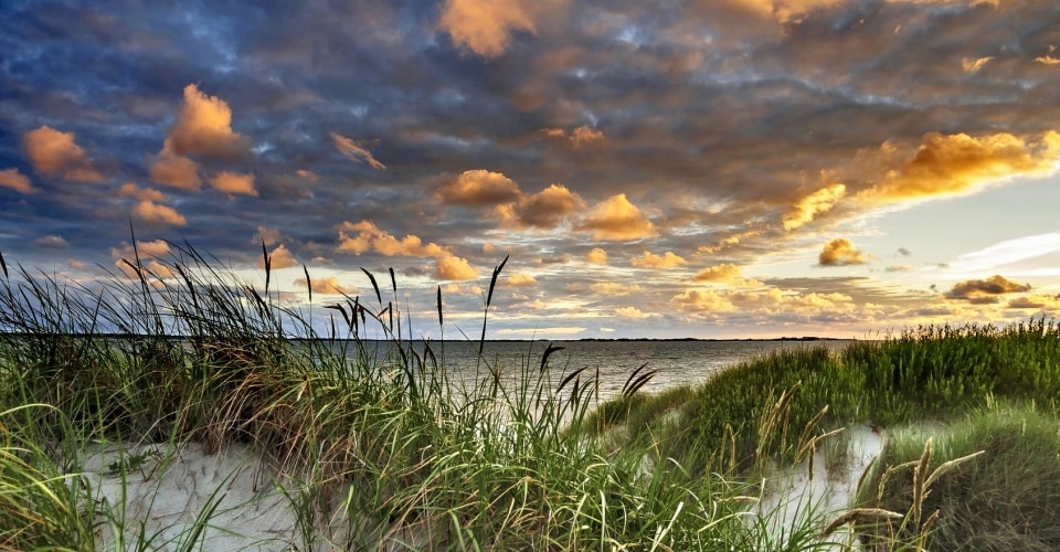 Föhr