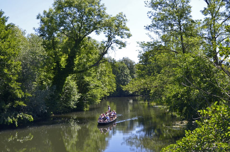 Dahme-Seen-Gebiet | Spreewald