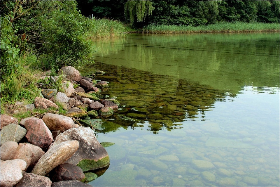 Arendsee