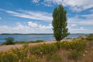Cospudener See