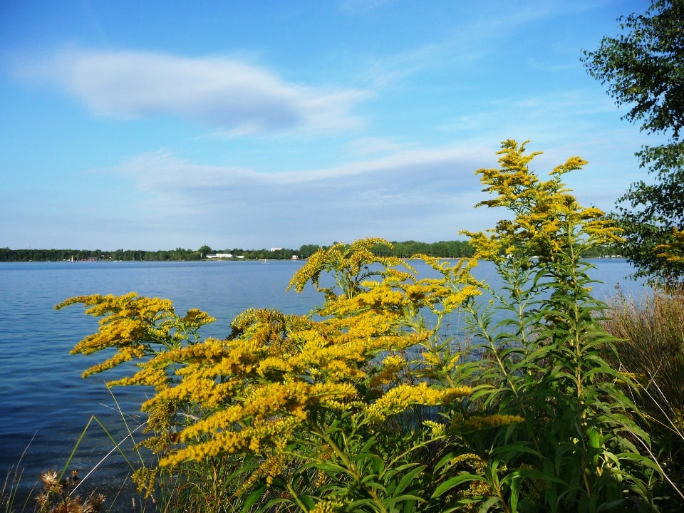 Kulkwitzer See Kulkwitzer See