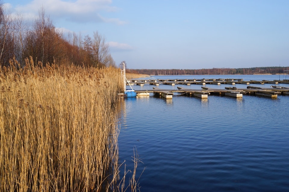 Tankumsee Tankumsee
