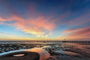 Naturpark Wattenmeer am Elberadweg - Reisen mit dem Wohnmobil