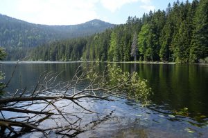 Großer Arbersee