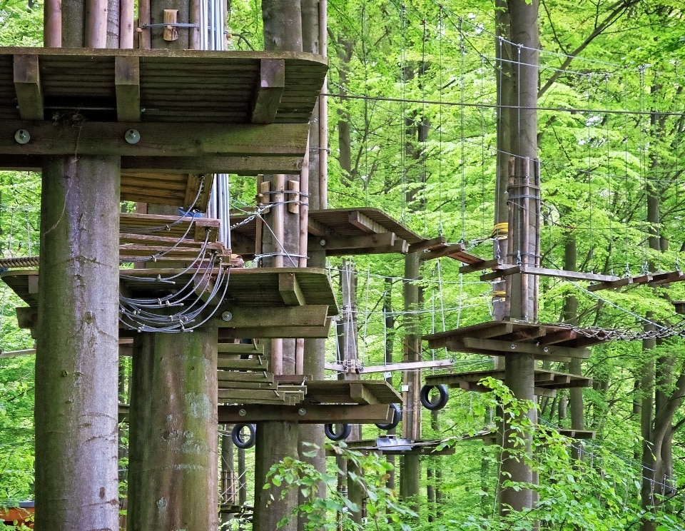 Seilgarten im Wald