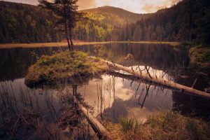 Kleiner Arbersee