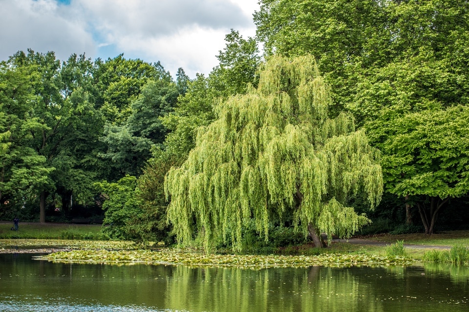 Maschsee Hannover