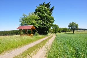 Wanderweg im Frankenwald - Wandern in Franken
