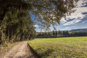 Wandern auf dem fränkischen Brauereipfad, Franken
