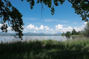 Ufer am Zürichsee, Zürich