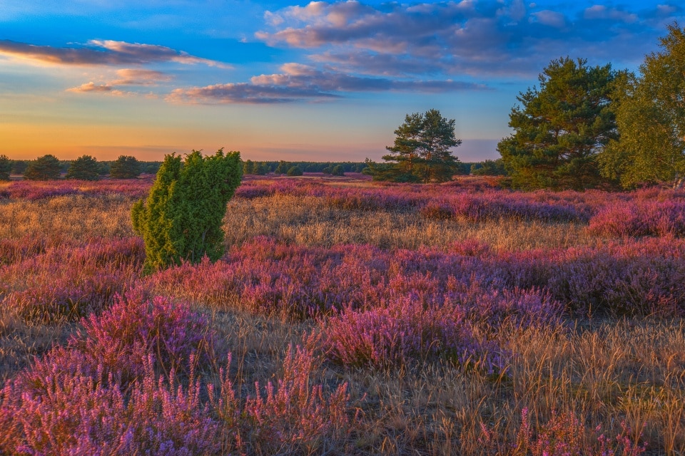 Wendland