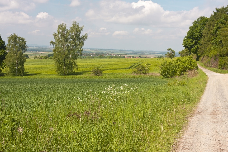 Braunschweiger Land - Elm - Wolfenbüttel