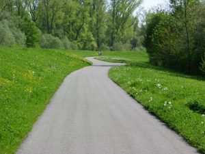 Radwanderweg in den Rheinauen