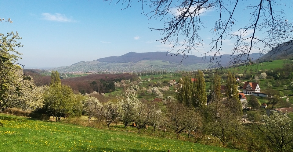 Blick auf das Freilichmuseum in Beuren und Burg Teck