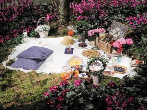 Romantisches Picknick