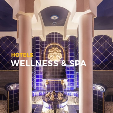 WELLNESS & SPA