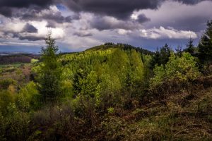 Teutoburger Wald - Hermannsweg