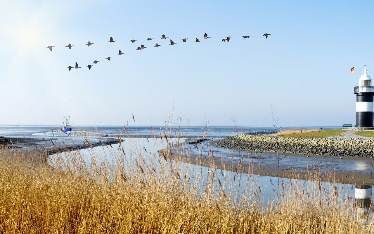 Das Wattenmeer: Weltnaturerbe in Deutschland