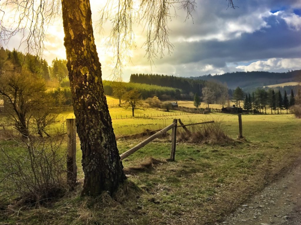Landschaft bei Brilon - Rothaarsteig