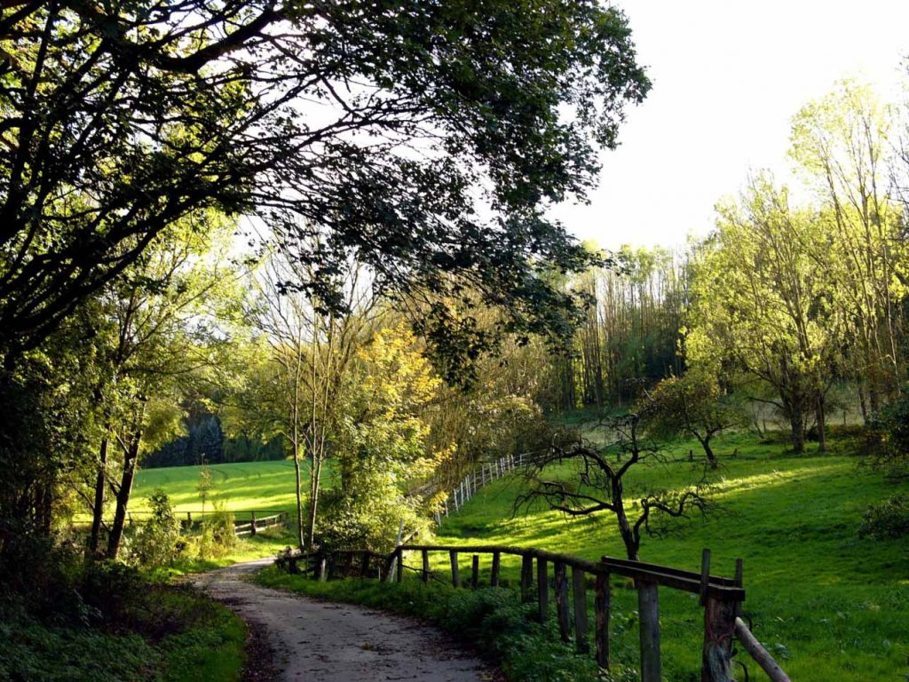 Idyllischer Weg bei Oerlinghausen im Teutoburger Wald