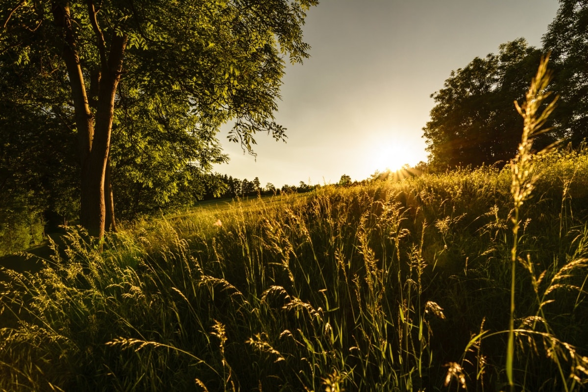 Landschaft im Vogtland - Vogtland Panorama Weg