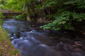Der Fluss Düssel im Neanderthal - Am Bergischen Weg