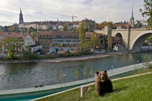 BärenPark in Bern