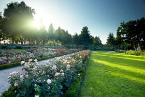 Rosengarten Bern