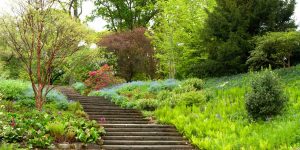 Höhenpark Killesberg, Stuttgart - Parks und Gärten Deutschlands