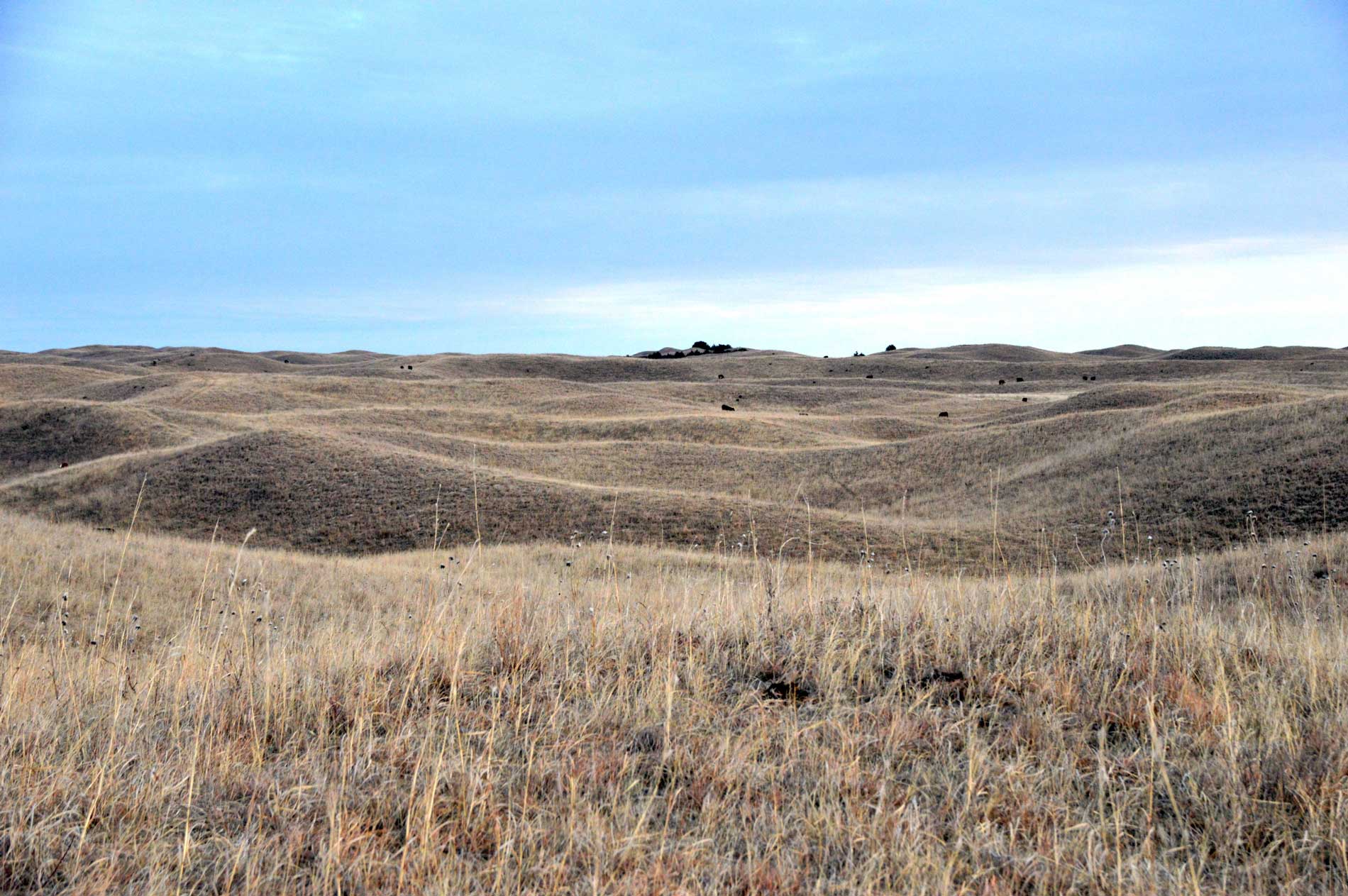 Morgan Ranch, Nebraska