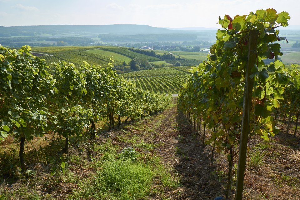 Steigerwald