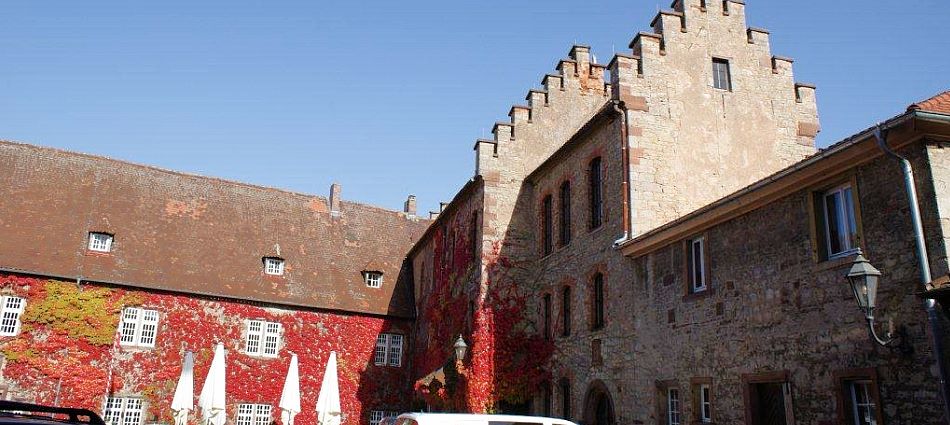 Schloss Saaleck, Rhön
