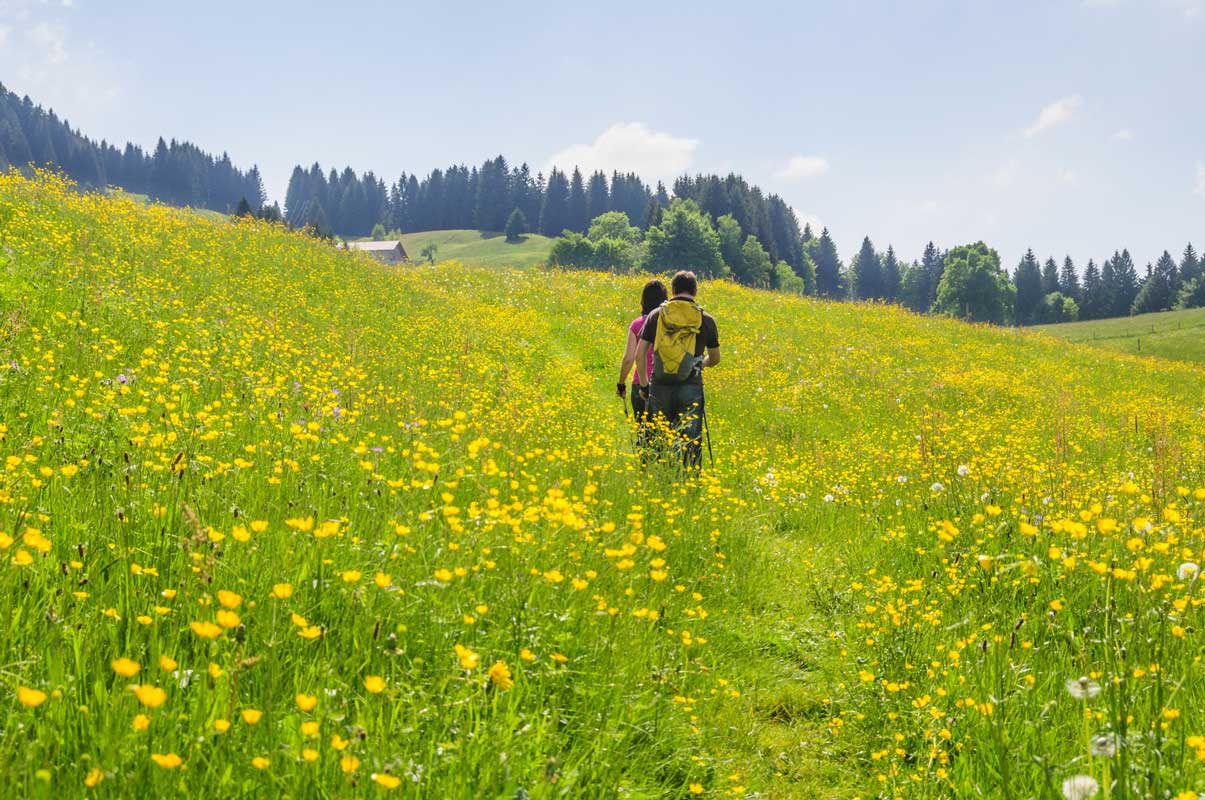 Paar auf Wiese im Allgäu
