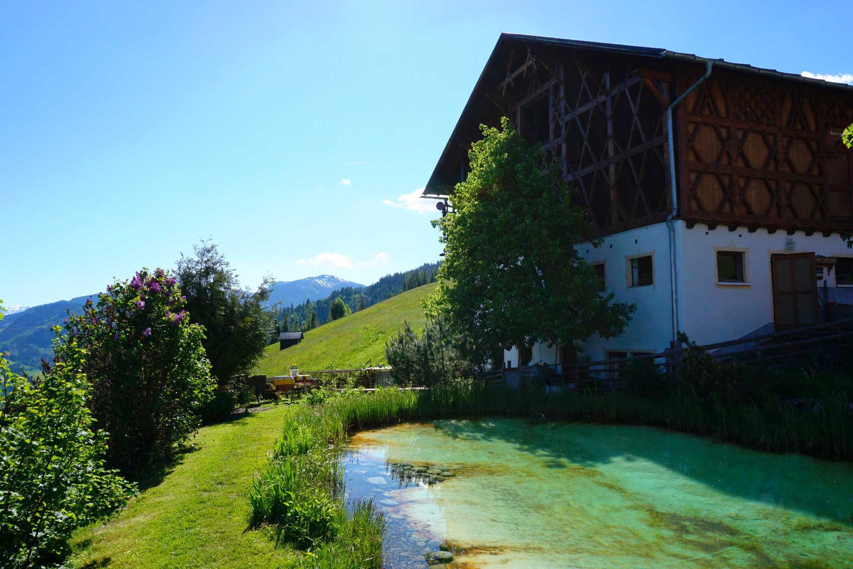 Hof und Teich Hof und Teich