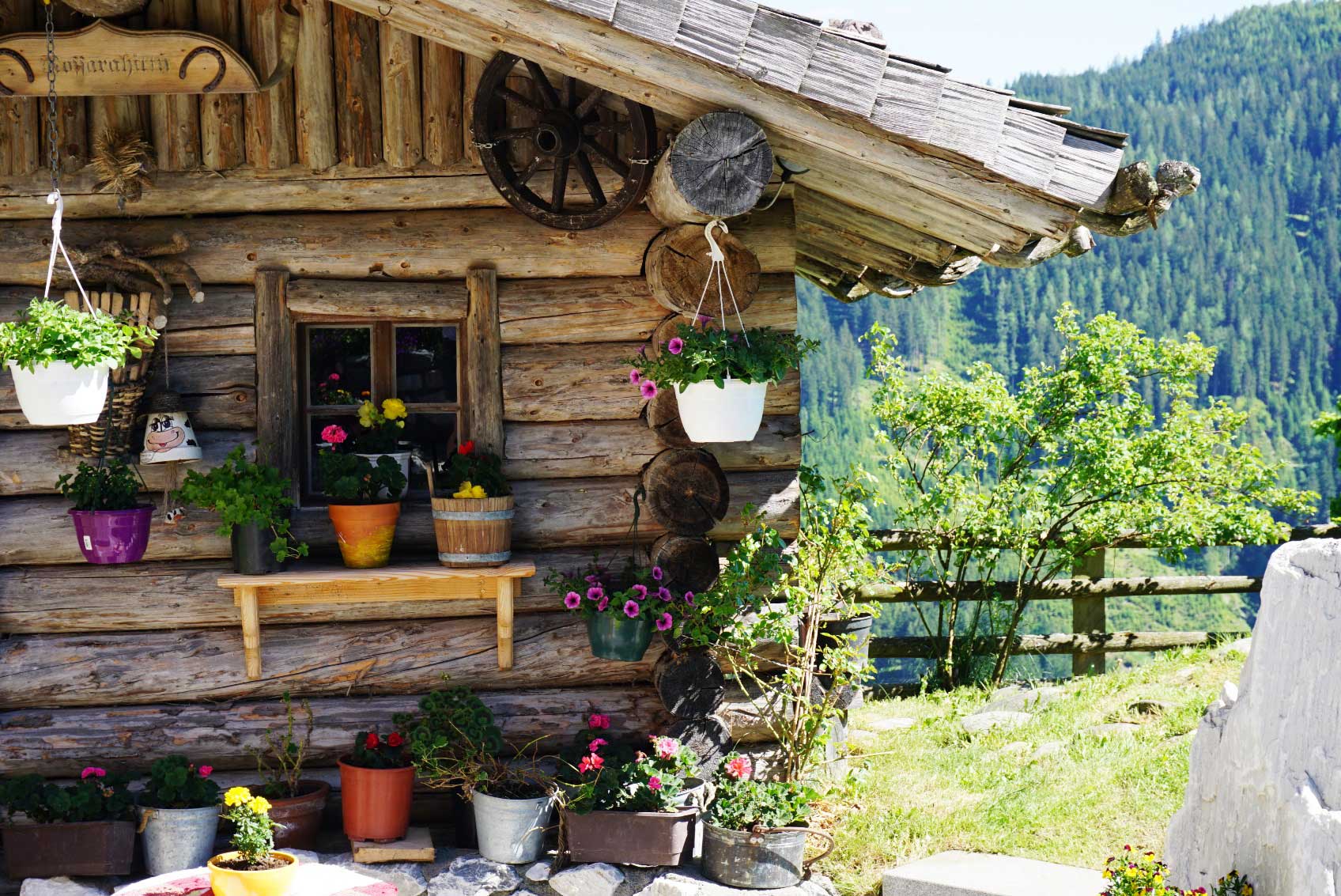 Stadel im Sommer Stadel im Sommer