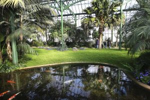 Wintergarten in der Wilhelma - Zoos Deutschland