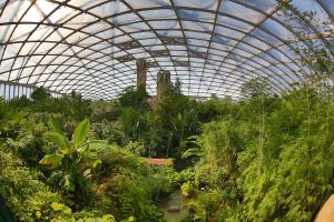 Tropenerlebniswelt Gondwanaland im Zoo Leipzig - Zoos Deutschland