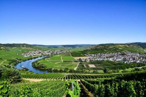 Blick auf Leiwen - Moselsteig