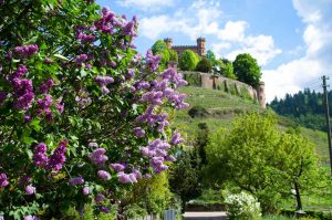 Schloss Ortenberg - Ortenauer Weinpfad - Traumziele in Deutschland