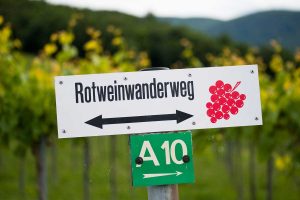 Rotweinwanderweg Beschilderung
